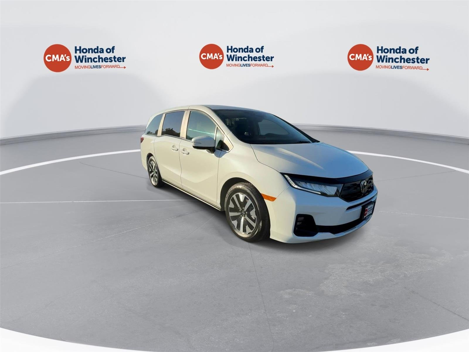 Used 2026 Platinum White Pearl Honda EX-L image 2