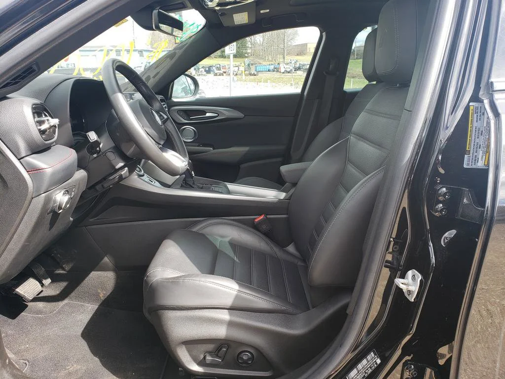 New 2024 8 Ball Dodge GT Plus image 10