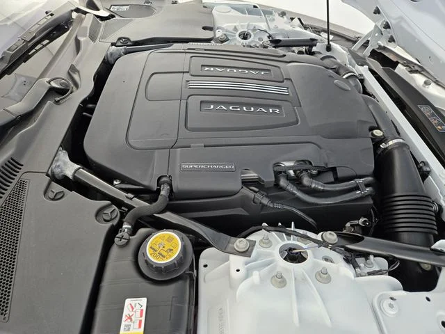 New 2024 Fuji White Jaguar P450 image 17