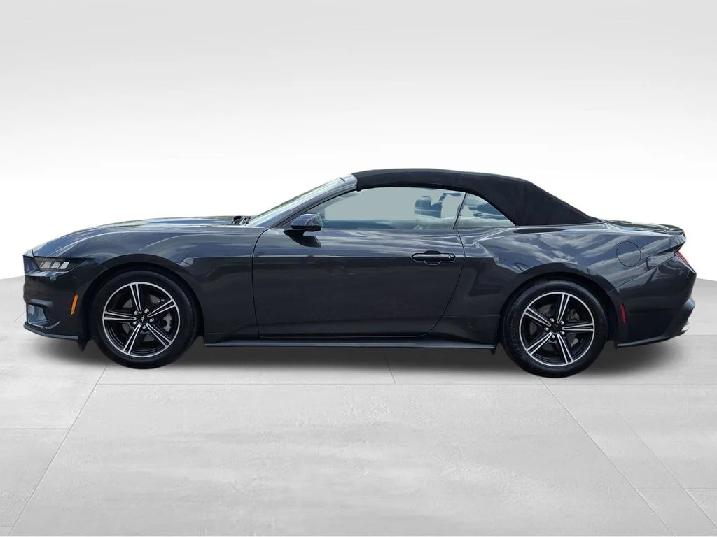 Used 2024 Gray Ford EcoBoost Premium image 9