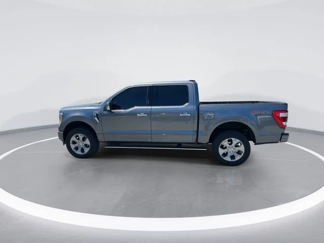 Used 2023 Gray Ford Platinum image 4