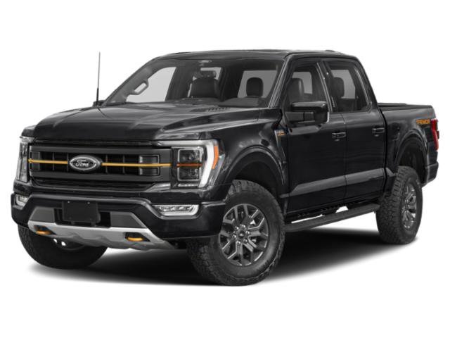 Used 2021 Guard Metallic Ford  image 1