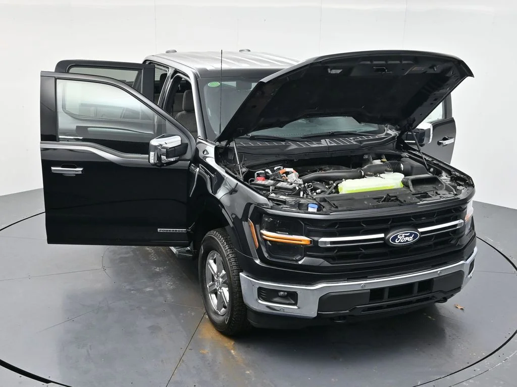 2025 Ford F-150 XLT - Photo 48