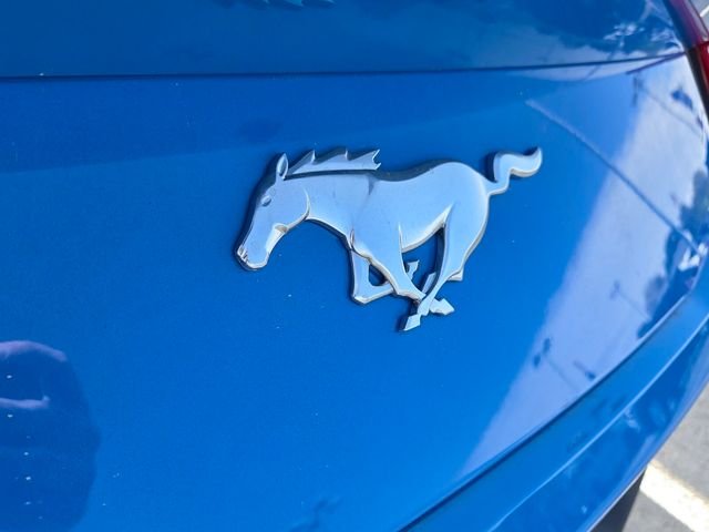 New 2026 Grabber Blue Metallic Ford EcoBoost image 12