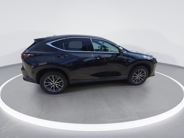 2023 Lexus NX 250 - Photo 8