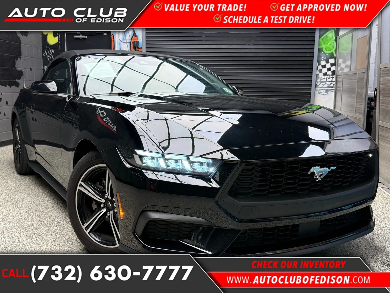 2024 Ford Mustang EcoBoost Premium Convertible's photo