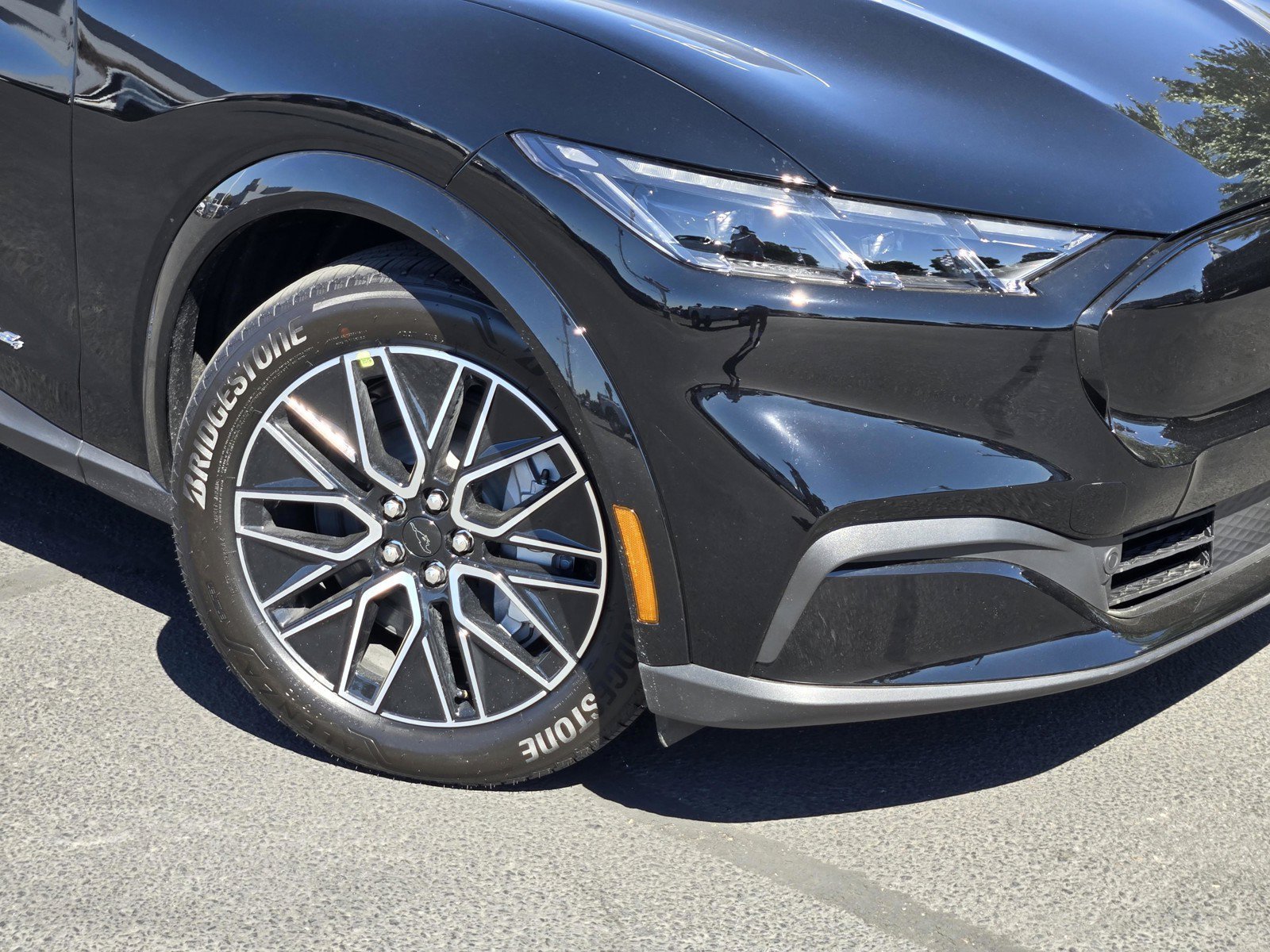 New 2026 Shadow Black Ford Premium image 6