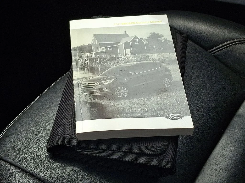 Used 2017 Blue Ford Titanium image 25