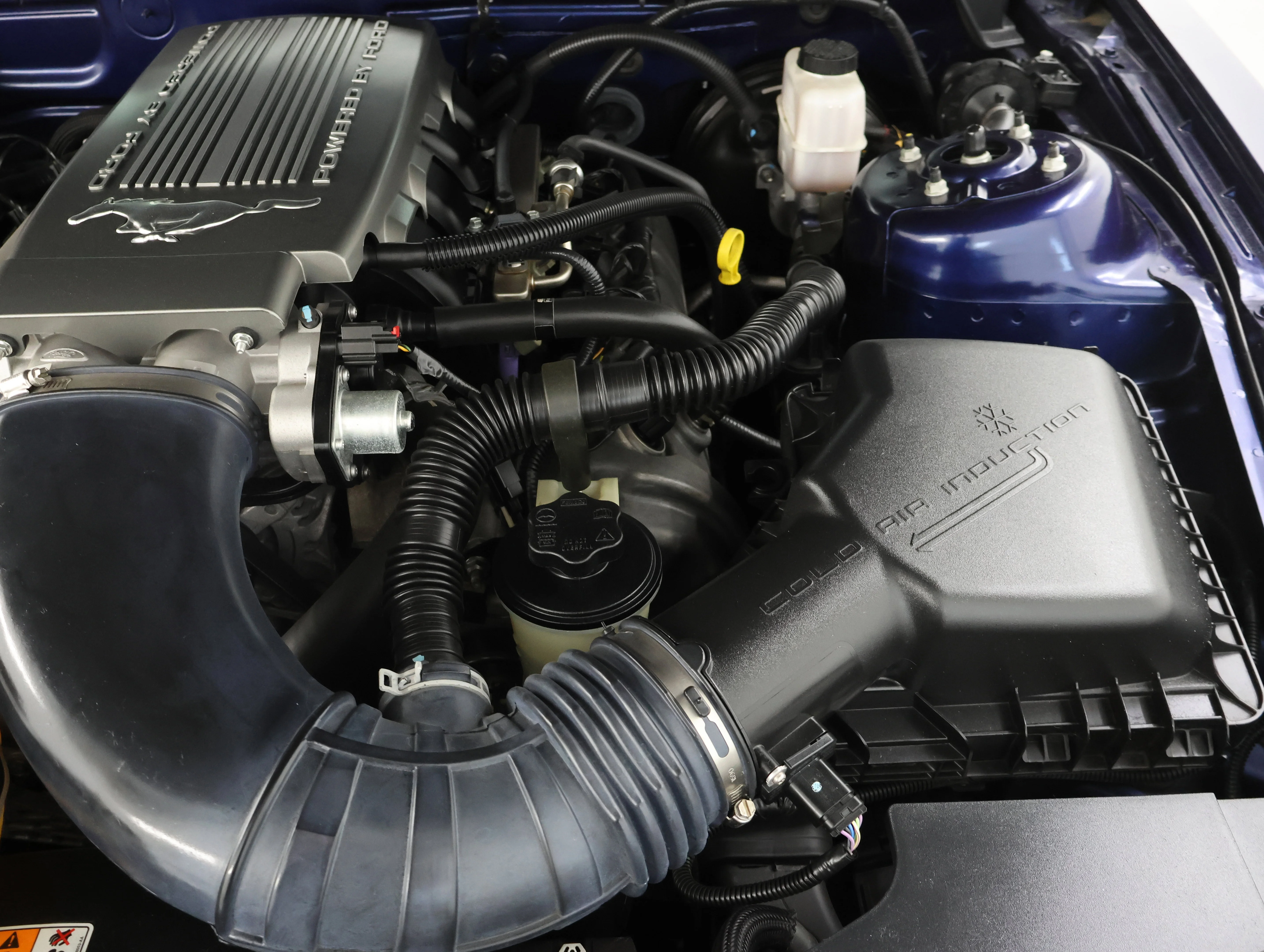 Used 2010 Kona Blue Metallic Ford GT Premium image 16