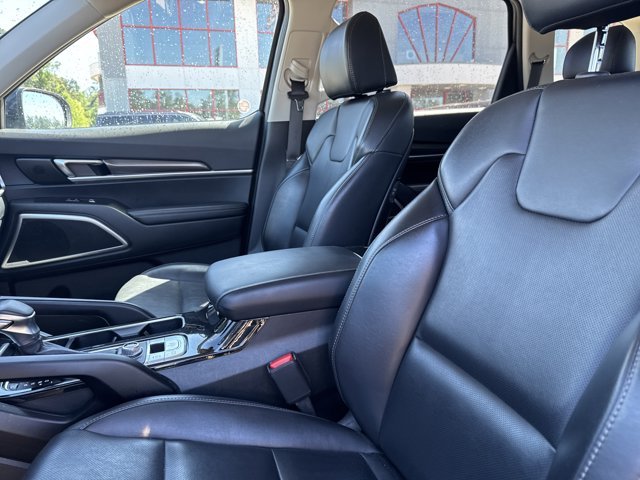 Used 2025 Panthera Metal Kia S image 19