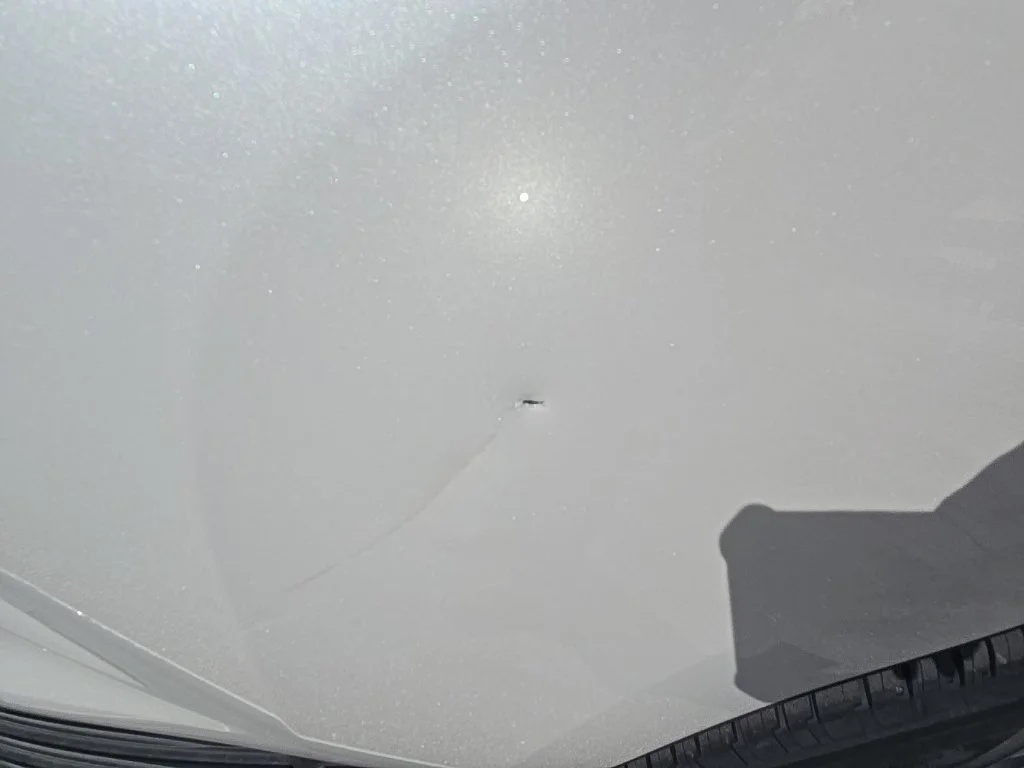Certified Used 2023 White Lexus 460 image 13