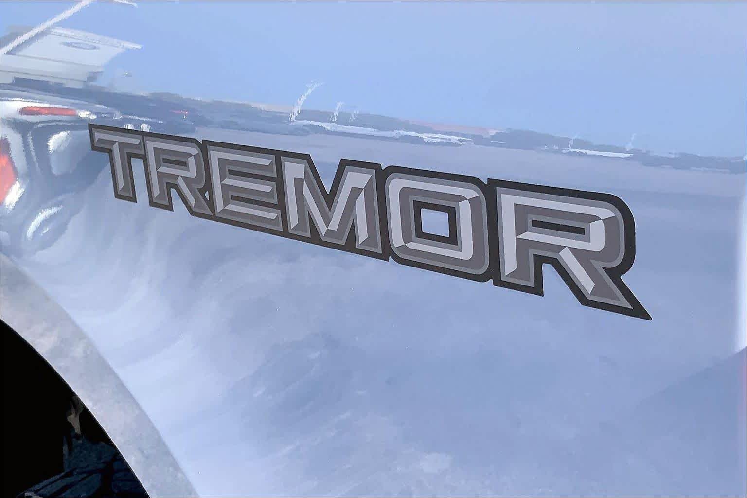 Used 2025 Glacier Gray Metallic Tri-Coat Ford Platinum image 10