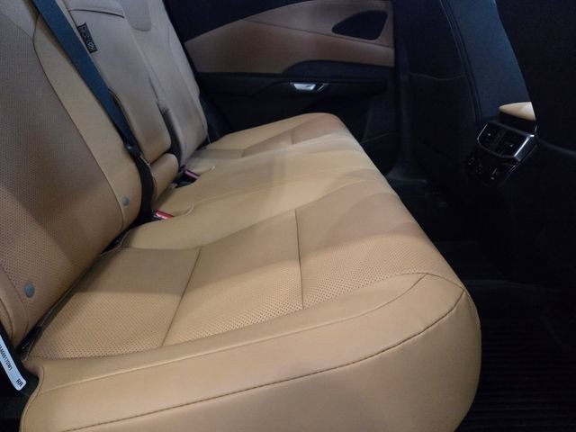New 2026 Nori Green Pearl Lexus PREMIUM image 34