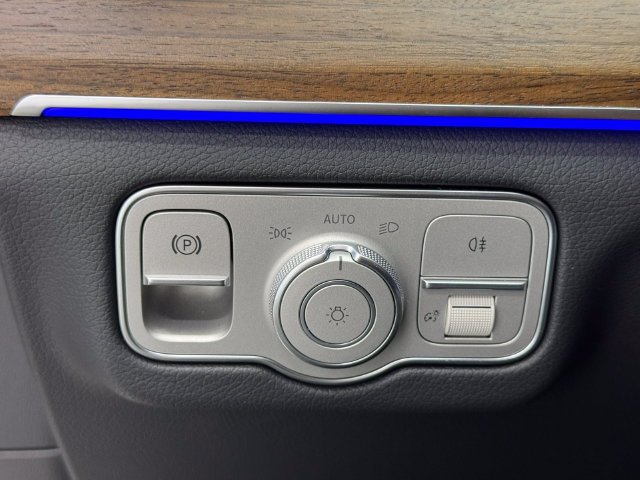 2026 Mercedes-Benz GLS Base - Photo 41