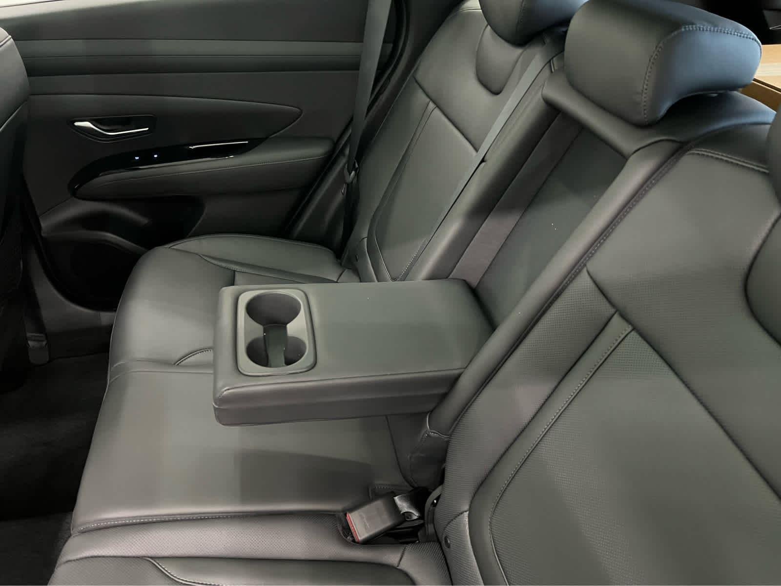 Used 2025 Ecotronic Gray Matte Hyundai Limited image 28