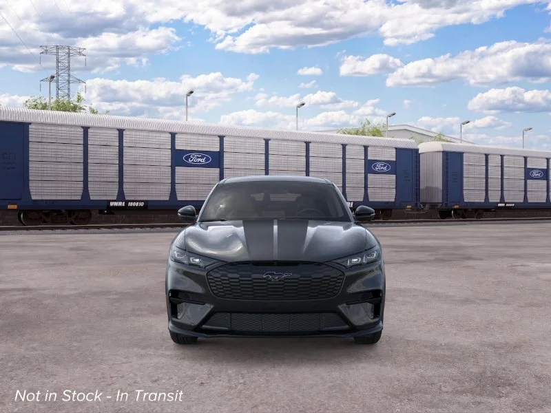 New 2026 Shadow Black Ford Premium image 6