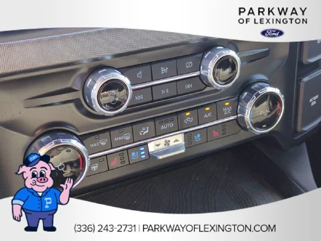 Used 2024 White Ford Platinum image 25