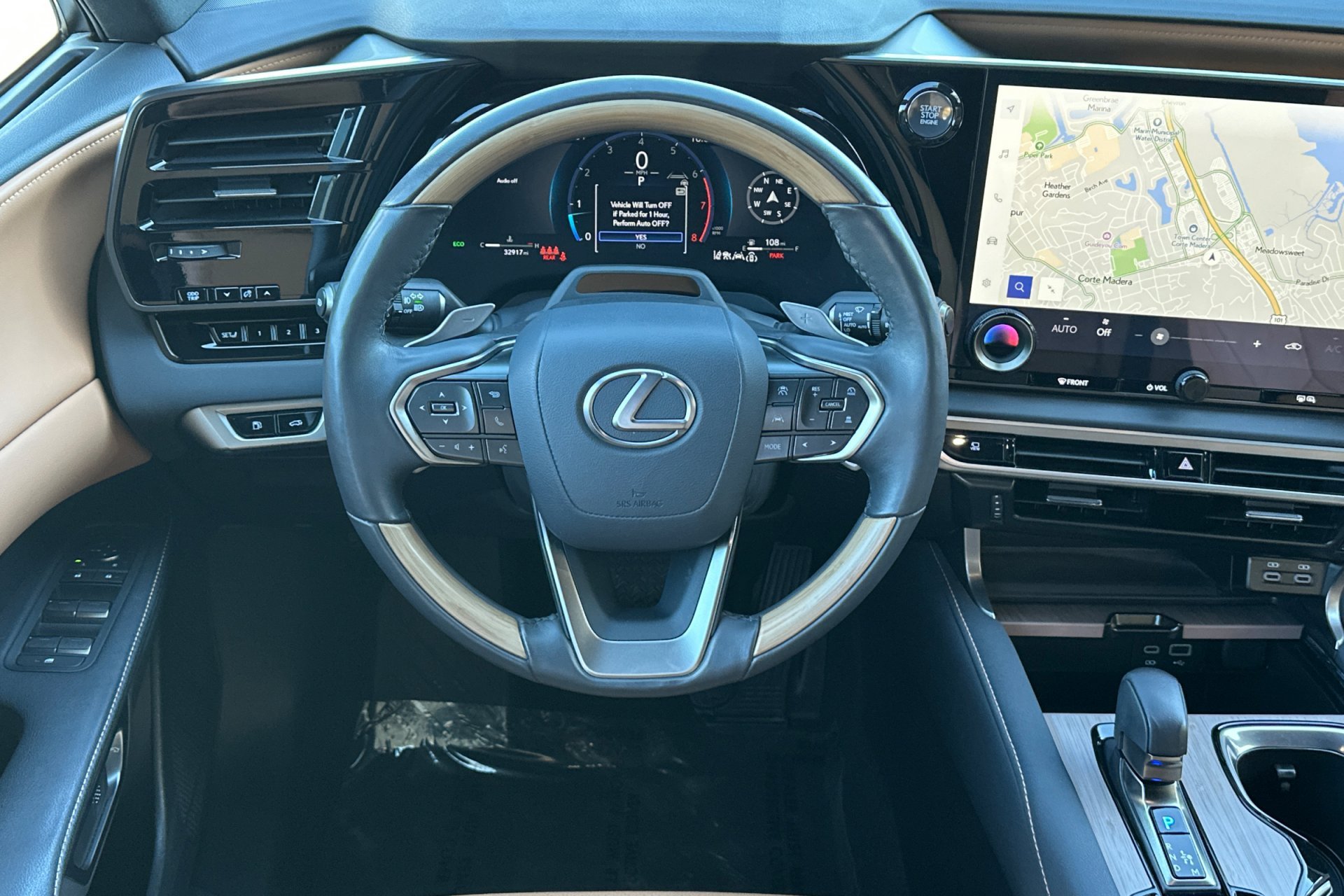 2025 Lexus RX 350 - Photo 16