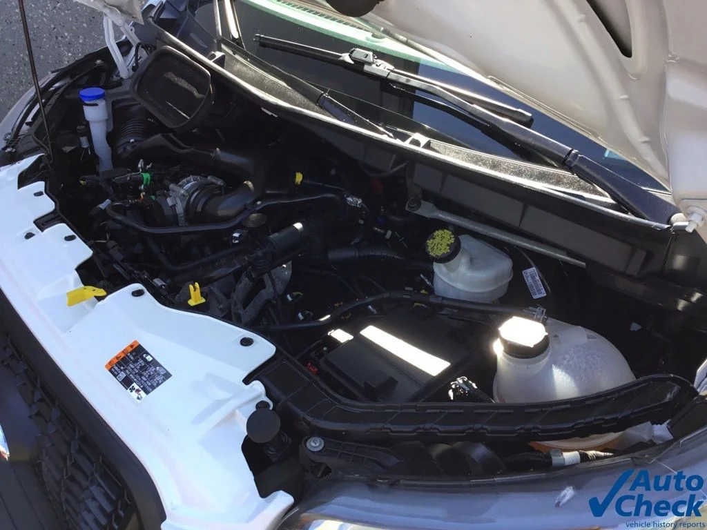 Used 2021 White Ford Base image 33