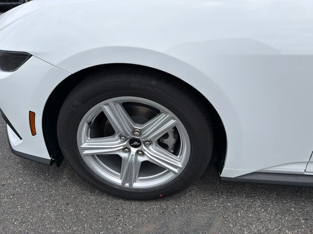 New 2026 Oxford White Ford EcoBoost® Fastback image 12