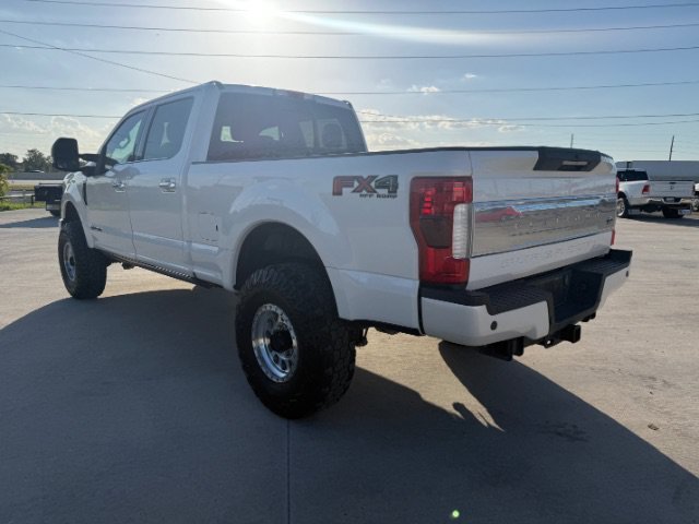 Used 2019 White Ford Platinum image 3