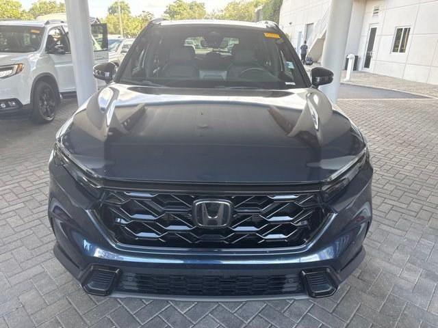 Used 2024 Blue Honda Sport-L image 2