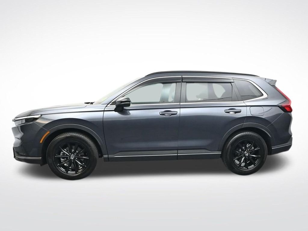 Used 2025  Honda Sport-L image 4
