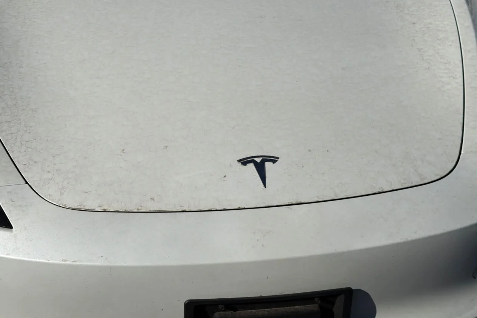 Used 2025  Tesla Long Range image 9