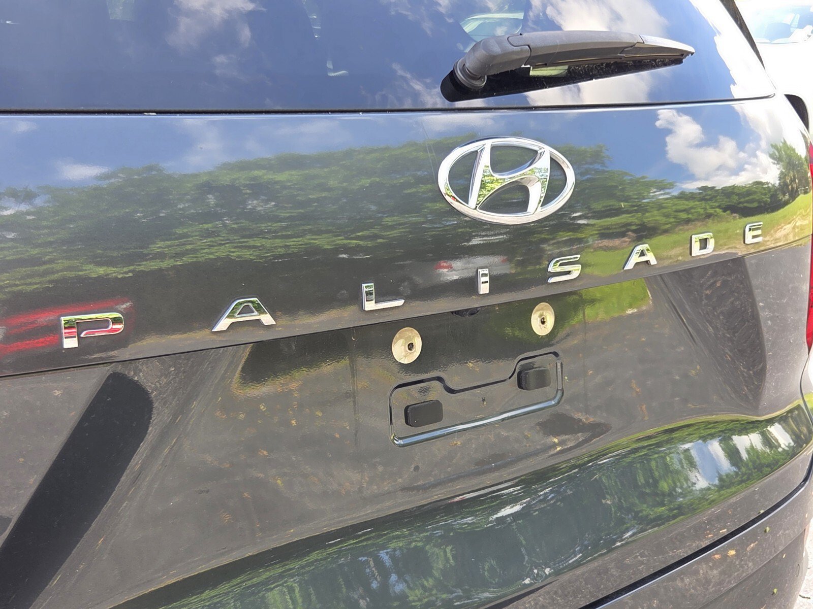 Used 2022 Rainforest Hyundai Calligraphy image 13
