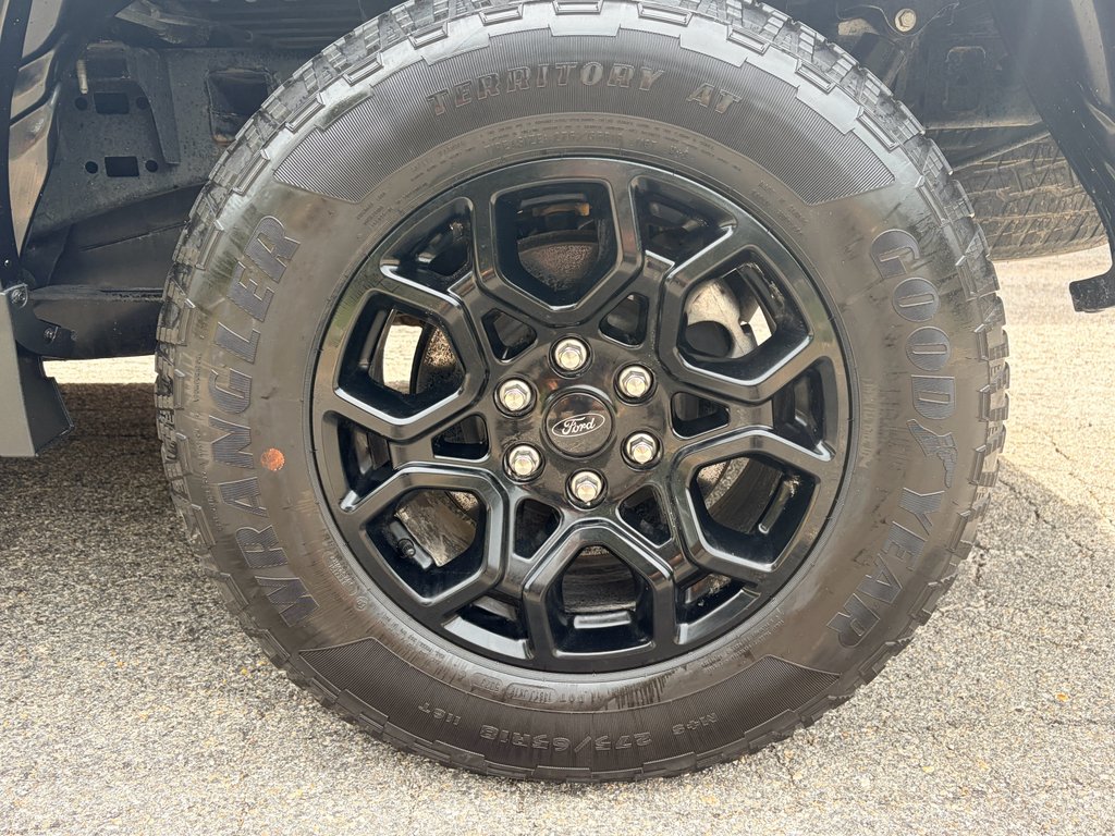 Used 2024 Agate Black Metallic Ford XLT image 10