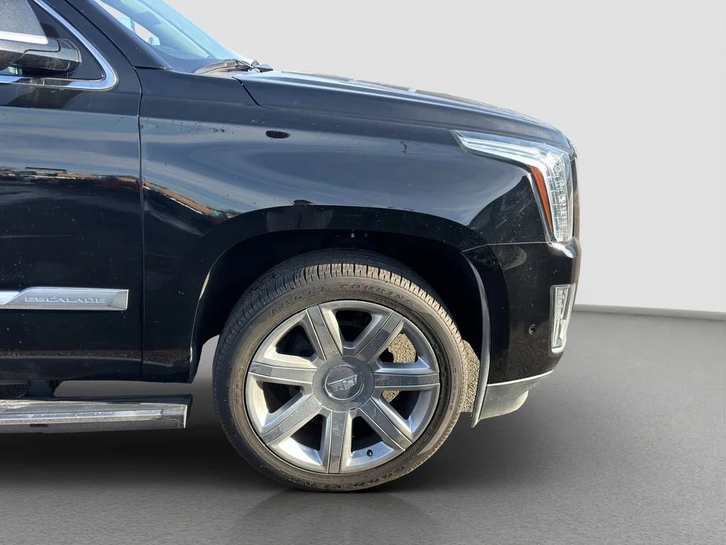 2020 Cadillac Escalade Premium Luxury - Photo 25