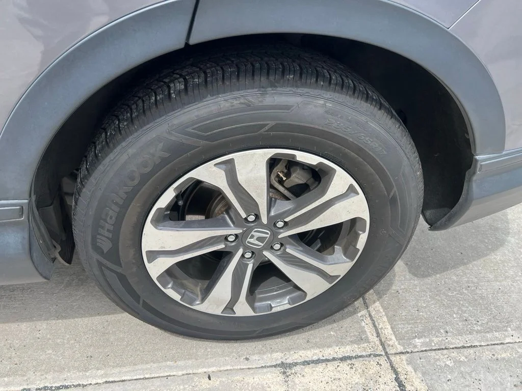 Used 2019 Gray Honda LX image 12