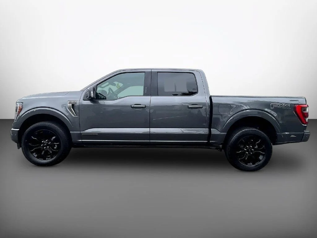 Used 2022 Gray Metallic Ford Platinum image 4