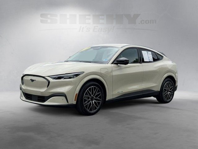 Used 2025 Beige Ford Premium image 13
