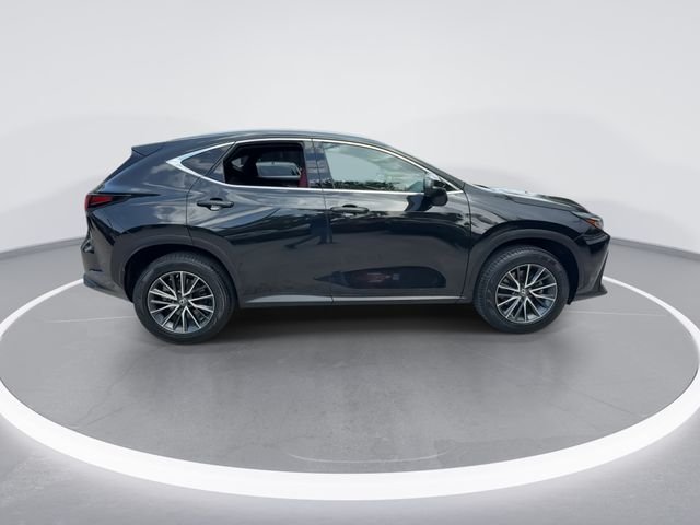 2023 Lexus NX 250 - Photo 9