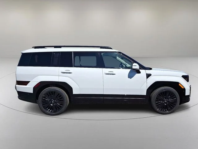New 2026 White Hyundai Calligraphy image 8