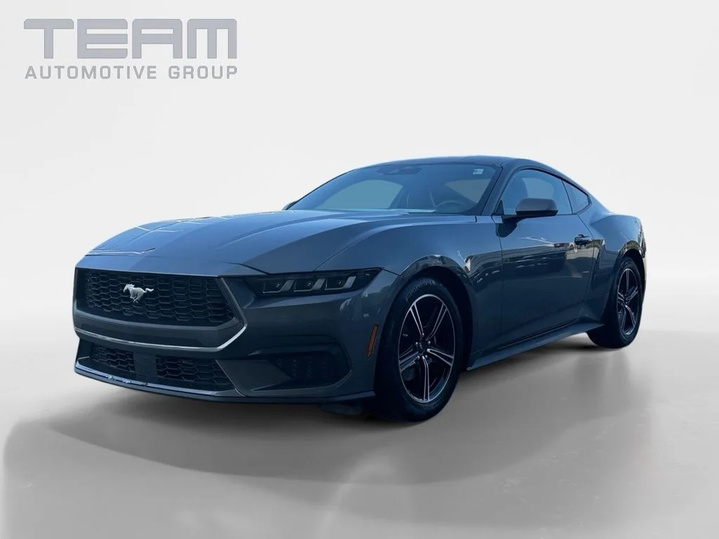 Used 2025 Gray Ford EcoBoost image 3
