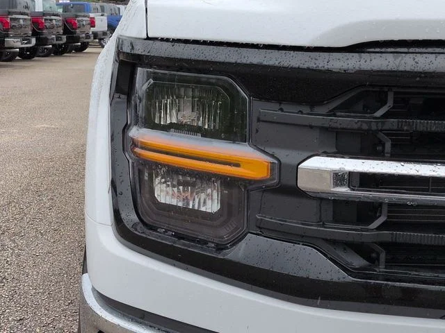 New 2026 Oxford White Ford XLT image 10