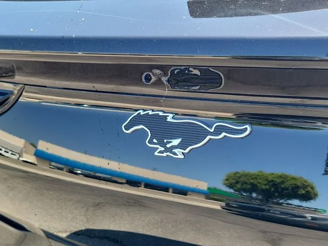 New 2026 Shadow Black Ford Premium image 8