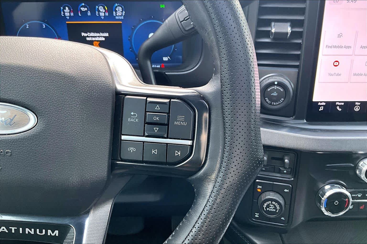 Used 2025 Avalanche Gray Ford Platinum image 22