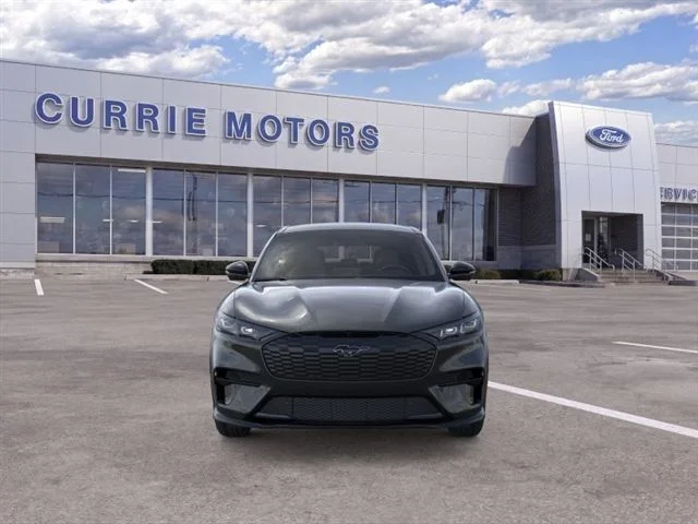 New 2026 Shadow Black Ford Premium image 28