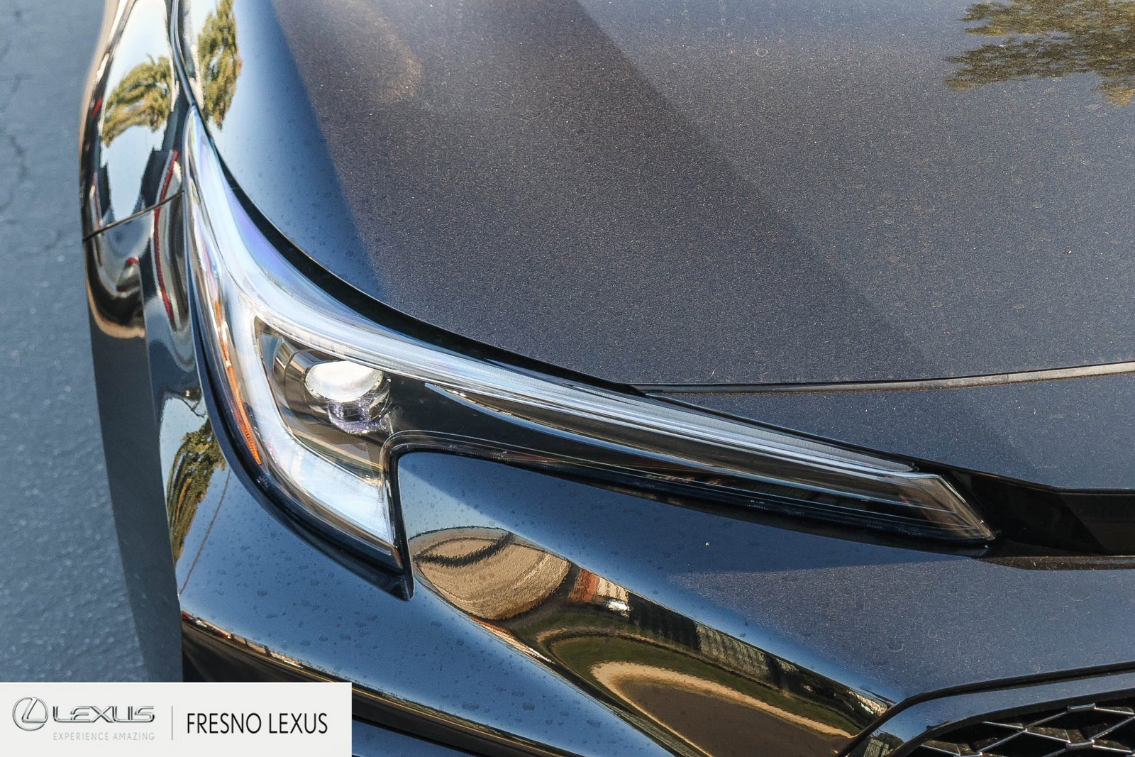 Used 2026 Black Toyota XSE image 10