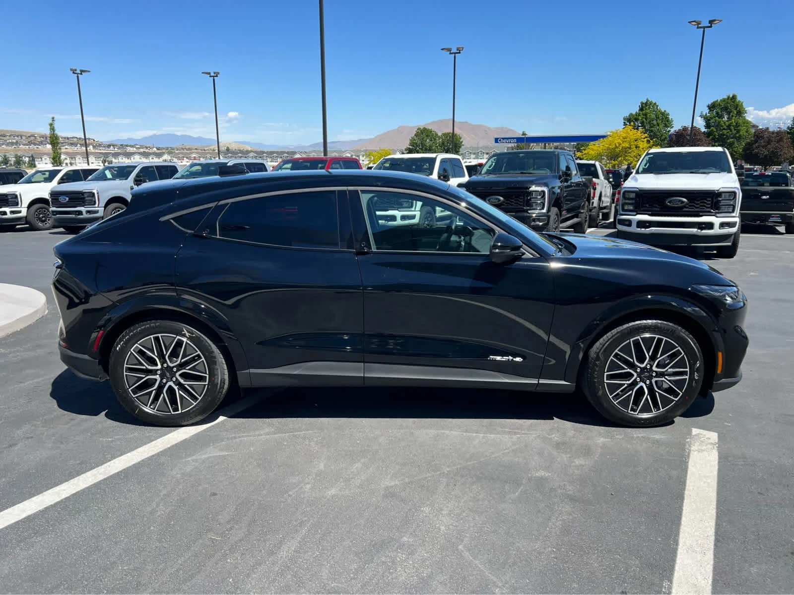 New 2026 Shadow Black Ford Premium image 6