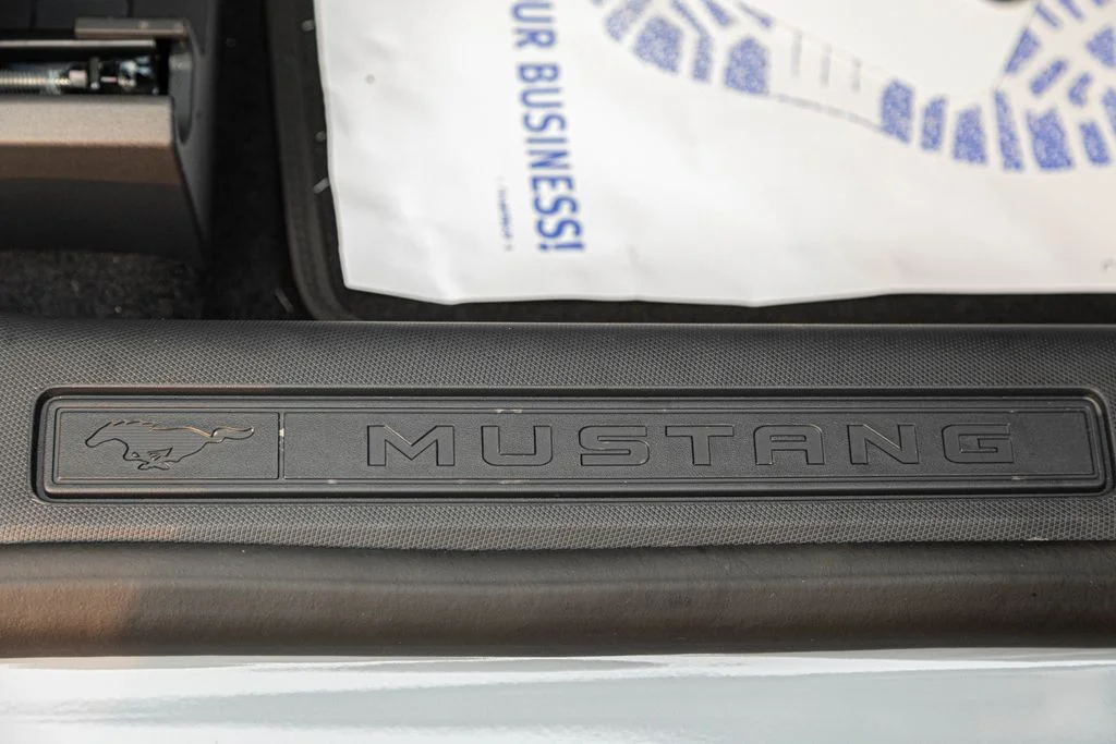 2025 Ford Mustang Mach-E GT - Photo 20