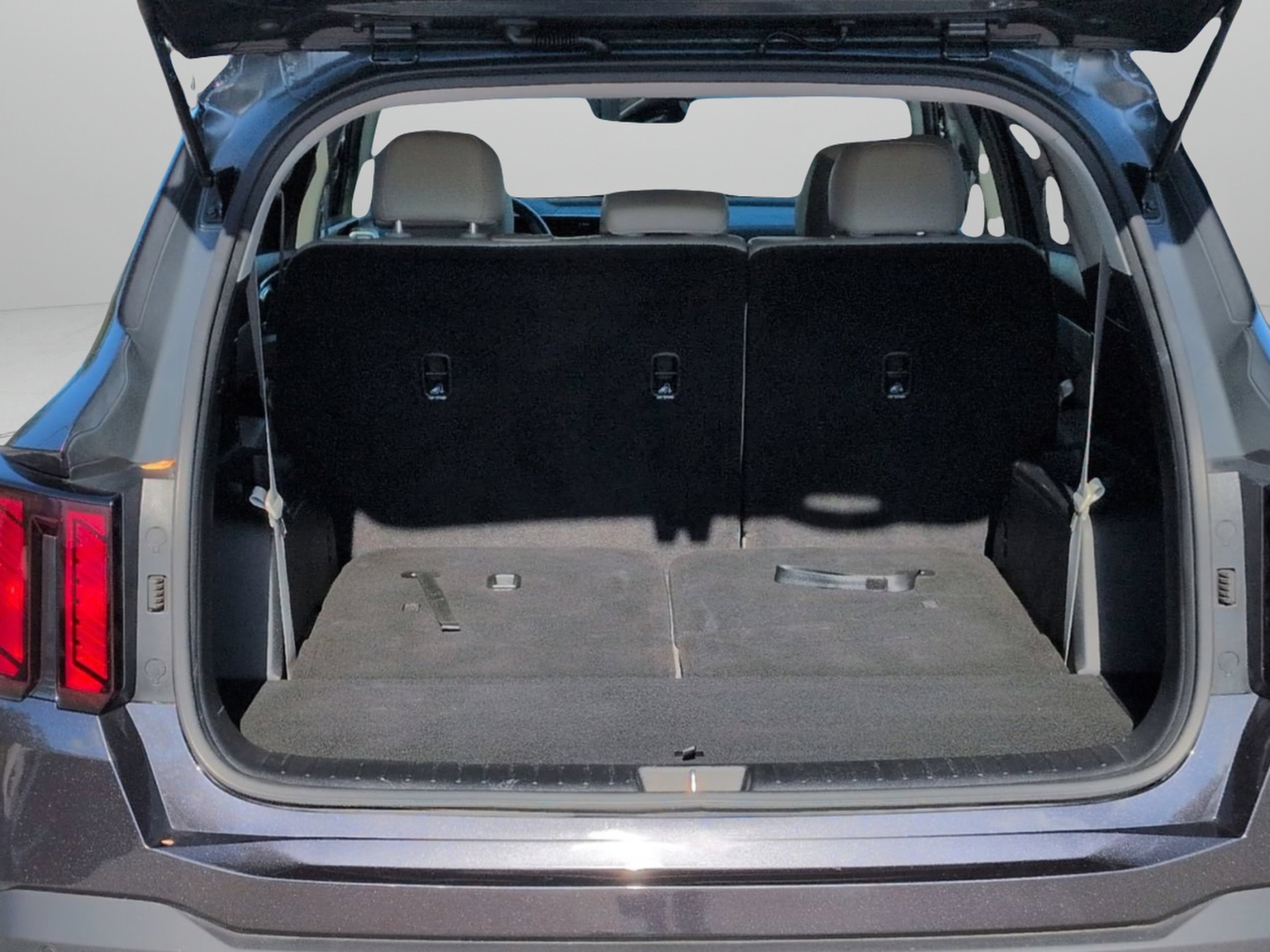 Used 2025 Panthera Metal Kia S image 10