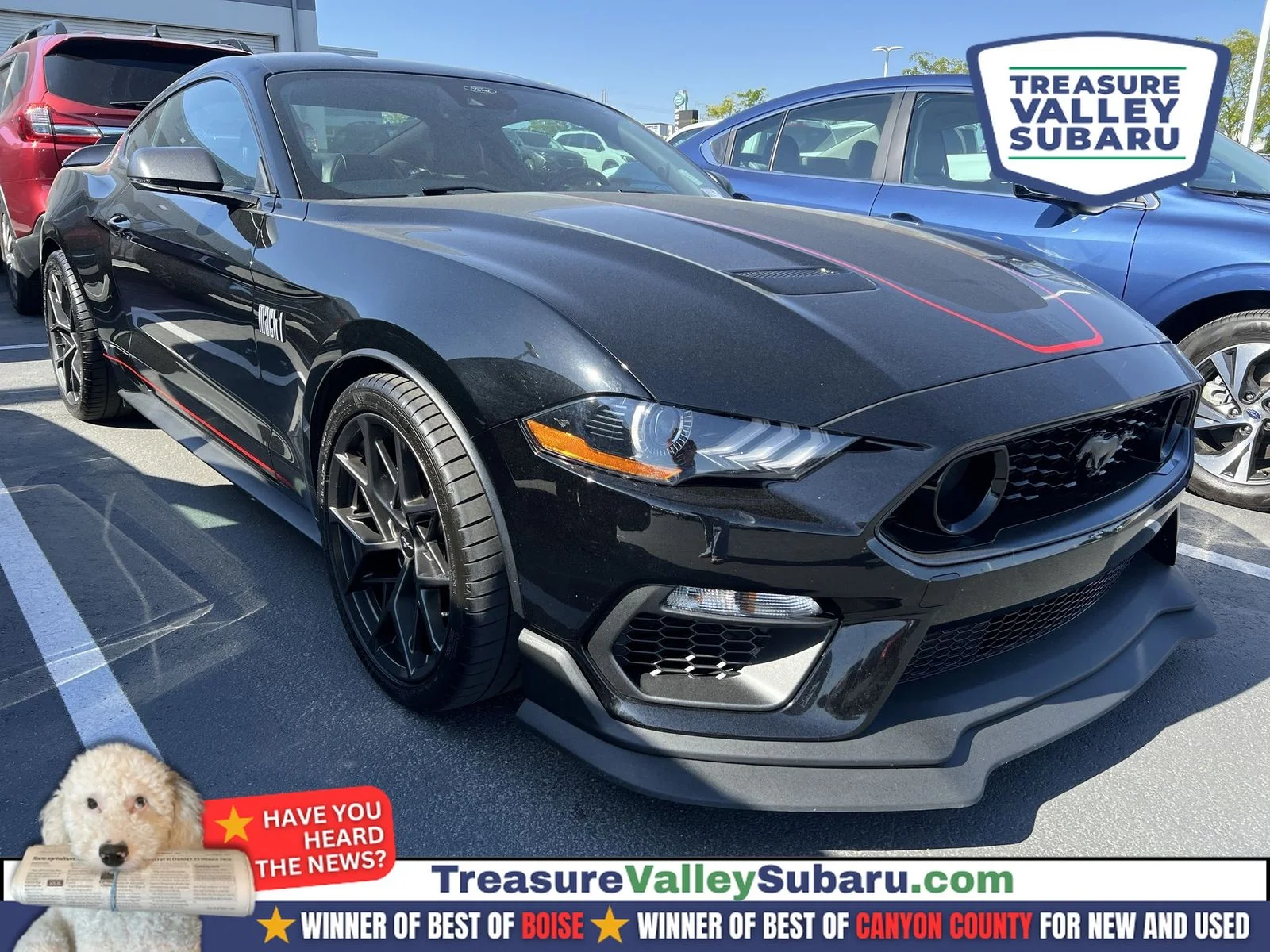 2022 Ford Mustang Mach 1's photo