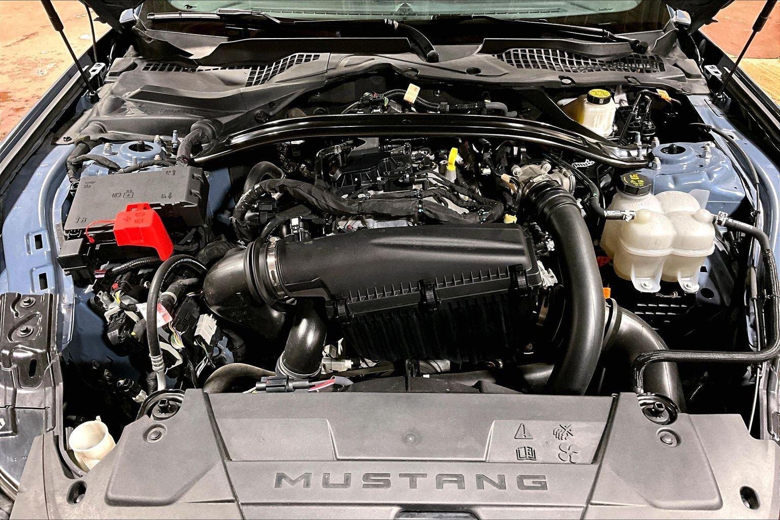 Used 2025 Vapor Blue Ford EcoBoost Premium image 11