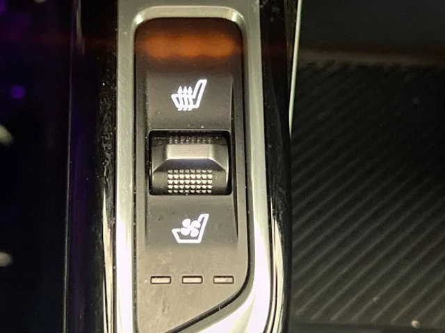 Used 2024 Gray Kia X-Line SX Prestige image 21