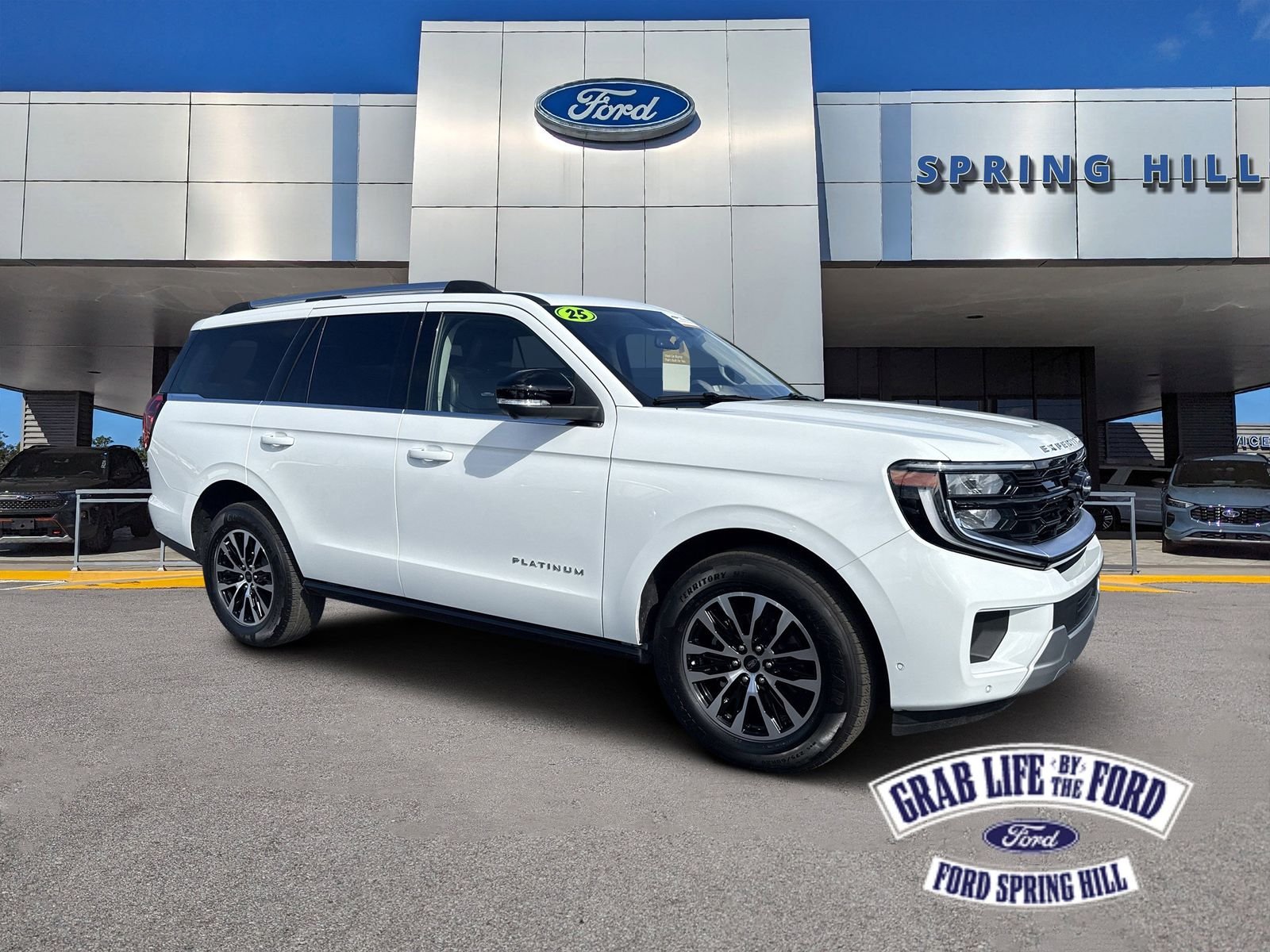 2025 Ford Expedition Platinum 4x4's photo