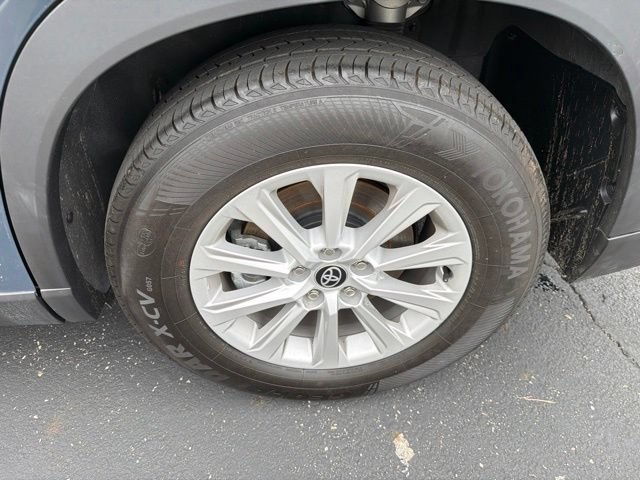 Photo 17